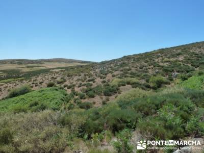 Pinar de Canencia y Mina de Plata del Indiano; viajes en mayo;clubes de montaña madrid